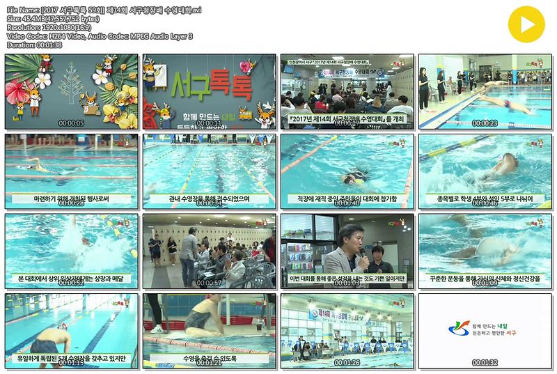 [2017 서구톡톡 59회] 제14회 서구청장배 수영대회 사진